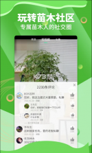 苗木通 v6.2.0.2 下载安装 截图