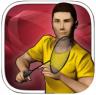 real badminton v 1.3 游戏