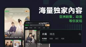 iqiyi v6.4.0 爱奇艺海外版下载 截图