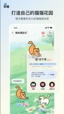 街猫 v1.35.5 最新版 截图