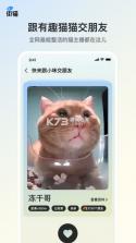 街猫 v1.35.5 最新版 截图