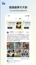 街猫 v1.35.5 最新版 截图