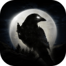 night crows夜鸦 v1.0.28 官方版国服下载