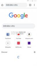 谷歌搜索 v15.15.44.28 app安卓版 截图