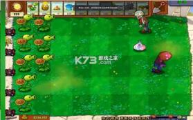 植物大战僵尸杂交版 v6.1 手机下载 截图