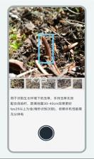 乐见虫草 v1.0.1 软件下载 截图