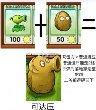 pvz嫁接版 v1.0 手机版下载 截图