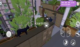 小猫咪大城市 v1.0.4 游戏下载正版 截图