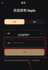 saylo v2.0.6 软件下载安装 截图