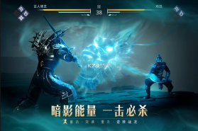 暗影格斗3 v1.34.0 oppo版 截图