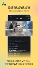 街猫 v1.35.5 app下载 截图