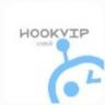 hookvip v3.5.6 官方下载