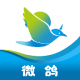 微鸽app下载v1.2.65
