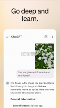 gpt4.0 v1.2024.262 人工智能官方版下载(chatgpt) 截图