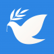 飞鸽博客app下载v2.3.5