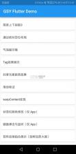 gsy flutter demo v2.0.0 app 截图