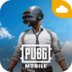 pubg国际服云游戏下载v1.0.2.4069588