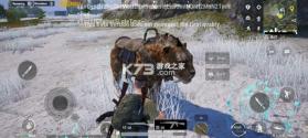 pubg v3.8.0 国际服手游下载官方正版 截图