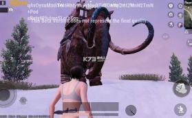 pubg v3.8.0 国际服手游下载官方正版 截图