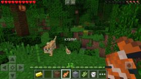 我的世界 v1.26.30.21 2026国际版下载 截图