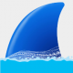 wireshark安卓版v1.2.1
