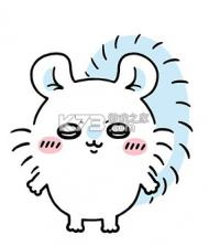 口袋吉伊卡哇 v1.5.0 官方版 截图