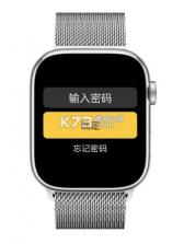 汉克米笔记 v25.3.30 手表版下载 截图