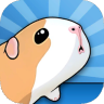 豚鼠桥 v9.2.4 官方版