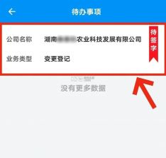 湖南企业登记 v1.6.0 app下载安卓版 截图