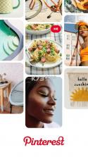 pinterest v13.37.0 app下载 截图