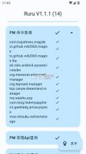 ruru环境检测 v1.1.1 下载最新版 截图