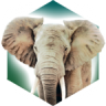 方舟动物园 v1.0.1 手机版