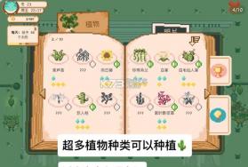 窗口花园 v1.9.9 最新版 截图