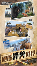 疯狂神射手 v1.0.1.4 打猎游戏 截图