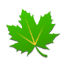 绿色守护 v5.1.1 app2025