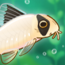 池趣 v1.10.5 破解版内置菜单