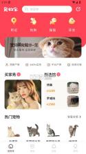 宠物宝 v4.5.3 app 截图