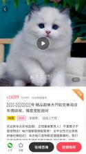 宠物宝 v4.5.3 app 截图