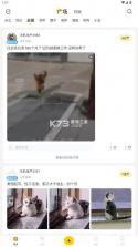 有只宠物 v2.3.8 软件 截图