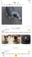 有只宠物 v2.3.8 软件 截图