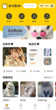 买只宠物 v4.5.7 app下载 截图