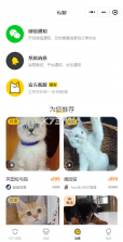 买只宠物 v4.5.7 app下载 截图
