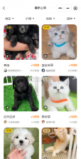 买只宠物 v4.5.7 app下载 截图