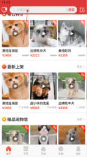 宠物市场 v7.6.1 app下载 截图