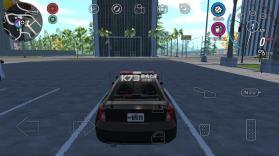 开放世界警察追逐模拟器 v1.0004 下载安装 截图