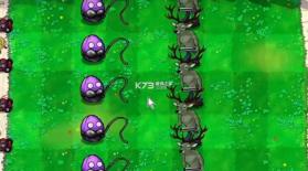 植物大战僵尸逆天版 v1.0 下载安装 截图