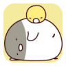 billddesk v0.59.0 安卓下载
