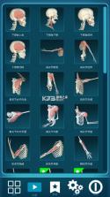 人体解剖学图集 v2025.12.28 app下载 截图