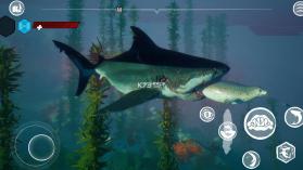 食人鲨 v1.4.4 正版免费手游下载 截图