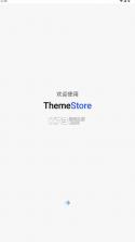 themestore v1.0.8 小米下载 截图